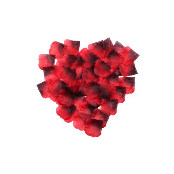 Pack de 100 Pétales de Rose